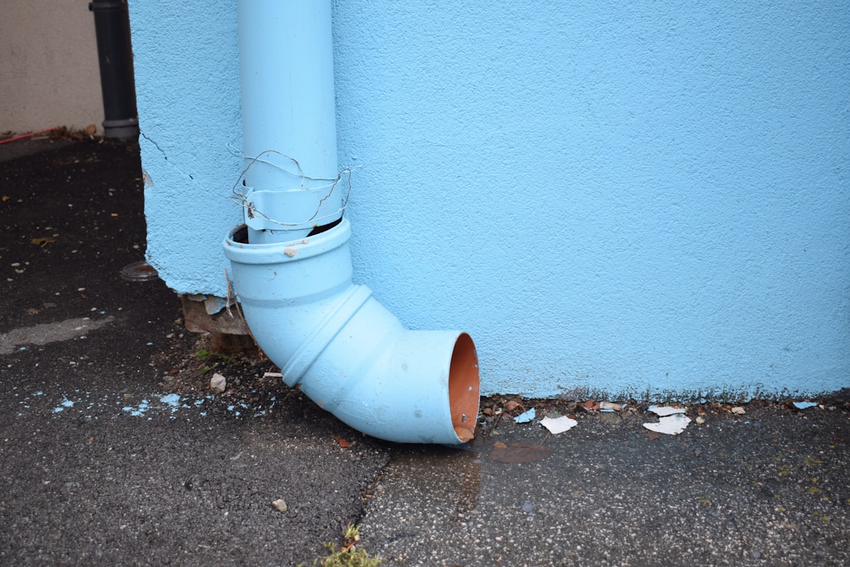Mold Remediation service in Pasadena, CA