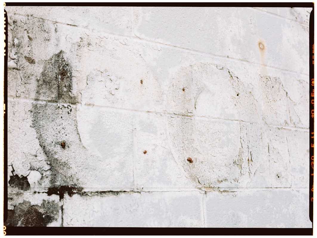 Flood Cleanup service in Pasadena, CA