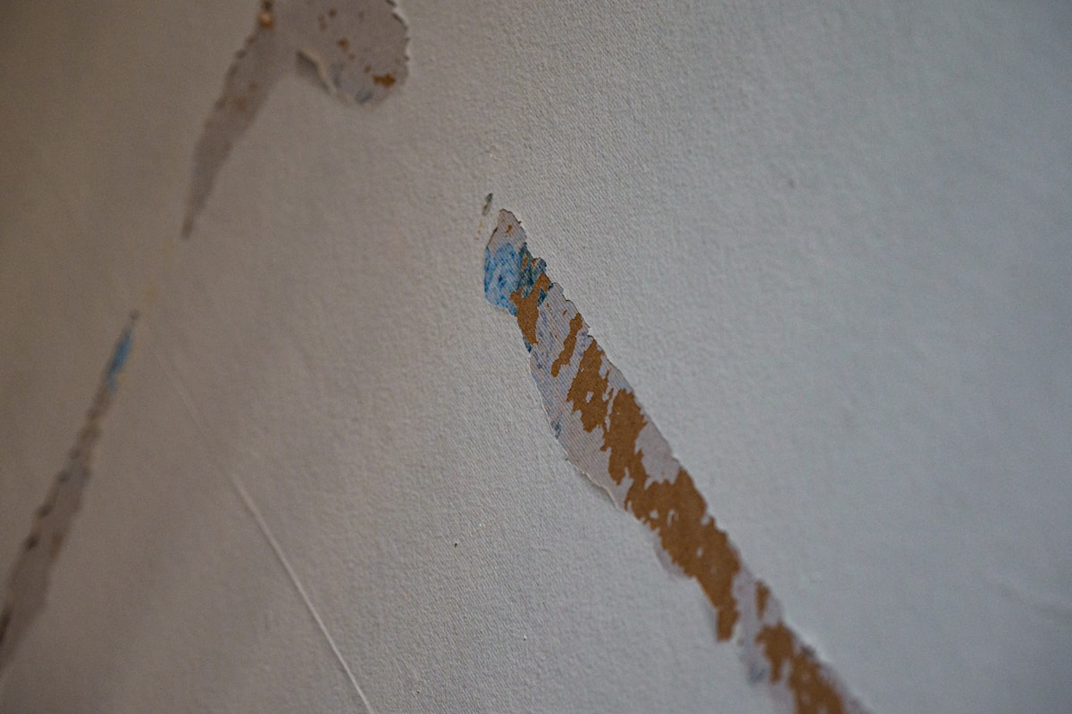 Water Extraction service in Pasadena, CA